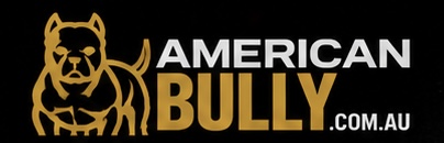 Extreme Bullies Australia -Mini Pocket Bully Dog